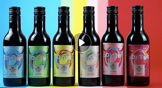 西班牙DONEWS小支葡萄酒 艺术红酒